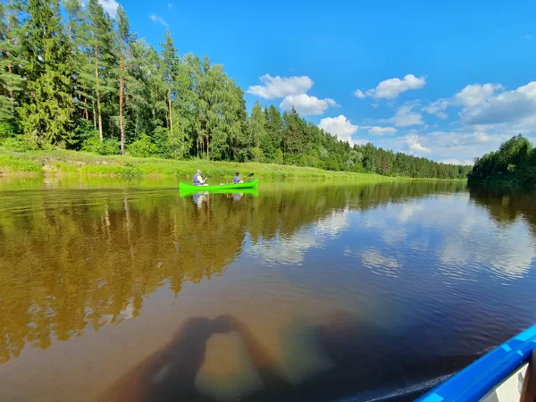 Gauja